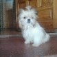 Mirando la calle